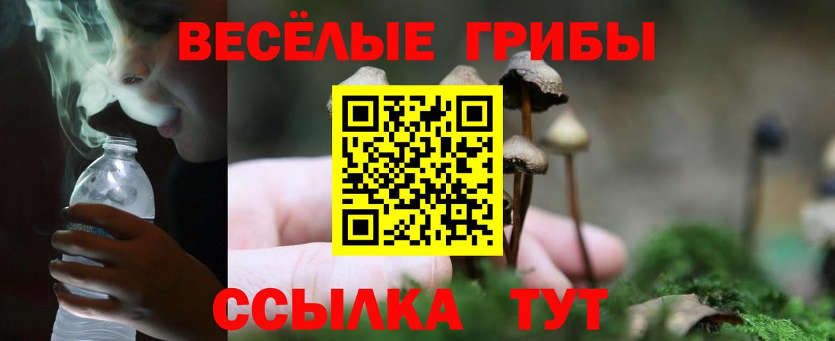 Похвистнево  Галлюциногенные грибы Magic Shrooms  Вход с VPN 